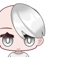 Hair Front L_011